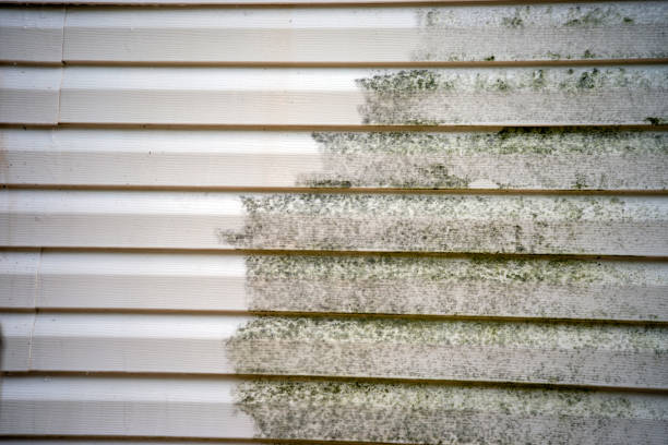 Best Shed Removal  in East Hemet, CA